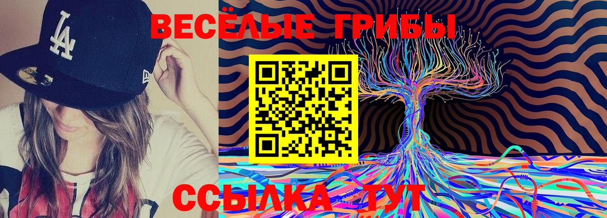 Кимовск  Псилоцибиновые грибы ЛСД  Вход с VPN 