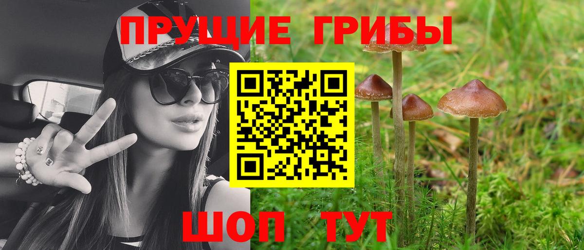 Псилоцибиновые грибы Cubensis Кимовск